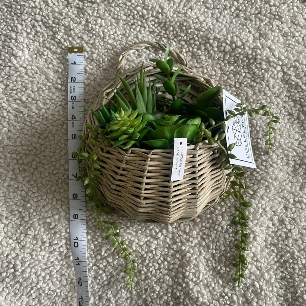 Lifelike succulent wall decor